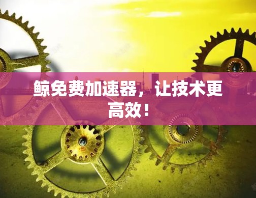 鲸免费加速器，让技术更高效！