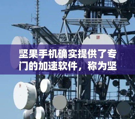 坚果手机确实提供了专门的加速软件，称为坚果加速器，旨在优化手机性能，提升下载速度。然而，用户可能想将该软件用于加速其他手机的下载速度。以下是一些可能的解决方案和考虑因素