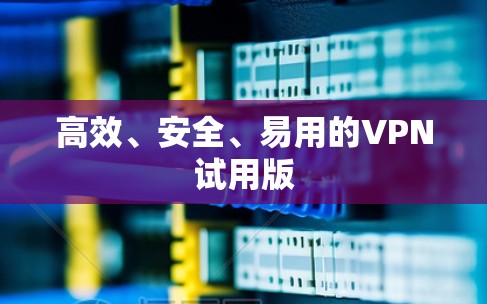 高效、安全、易用的VPN试用版