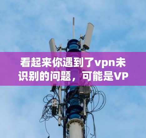 看起来你遇到了vpn未识别的问题，可能是VPN服务连接不上。以下是一些可能的解决方案