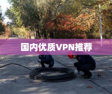 国内优质VPN推荐