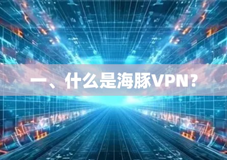一、什么是海豚VPN？