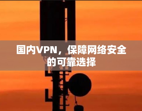 国内VPN，保障网络安全的可靠选择