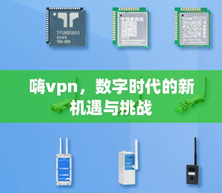 嗨vpn，数字时代的新机遇与挑战