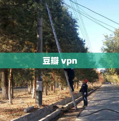 豆瓣 vpn