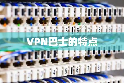 VPN巴士的特点