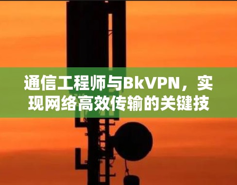 通信工程师与BkVPN,实现网络高效传输的关键技术 通信工程师与BkVPN,实现网络高效传输的关键技术