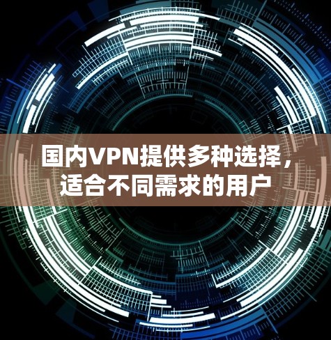 国内VPN提供多种选择，适合不同需求的用户