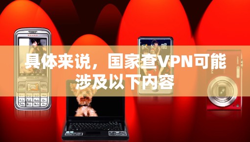 具体来说，国家查VPN可能涉及以下内容