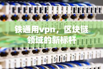 铁通用vpn,区块链领域的新标杆 铁通用vpn,区块链领域的新标杆