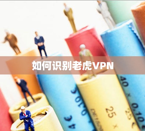 如何识别老虎VPN