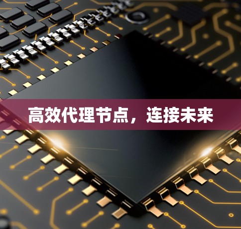 高效代理节点，连接未来