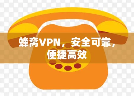 蜂窝VPN,安全可靠,便捷高效 蜂窝VPN,安全可靠,便捷高效