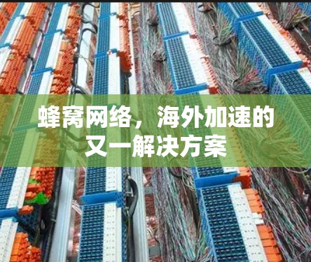 蜂窝网络,海外加速的又一解决方案 蜂窝网络,海外加速的又一解决方案
