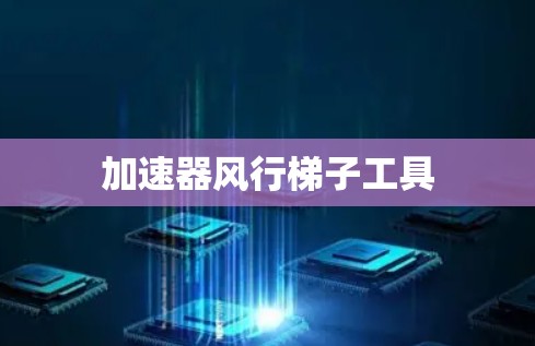 加速器风行<strong>梯子</strong>工具