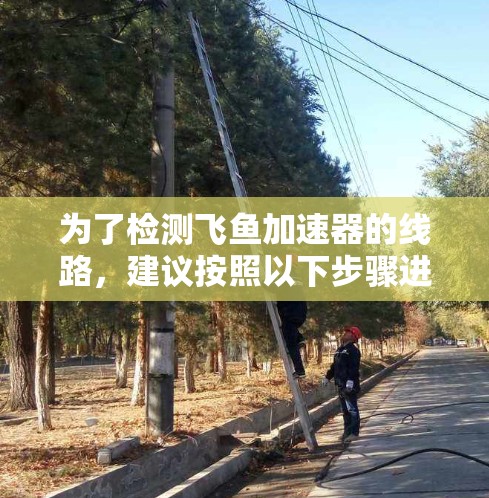 为了检测飞鱼加速器的线路,建议按照以下步骤进行操作 为了检测飞鱼加速器的线路,建议按照以下步骤进行操作