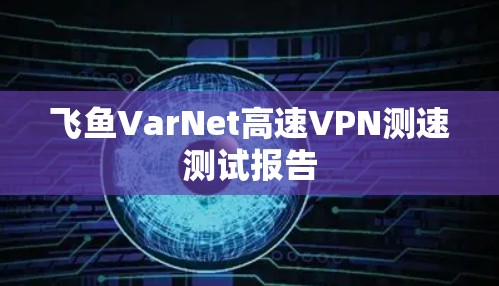 飞鱼VarNet高速VPN测速测试报告 飞鱼VarNet高速VPN测速测试报告