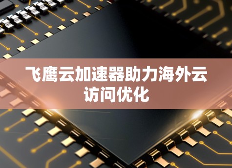 飞鹰云加速器助力海外云访问优化