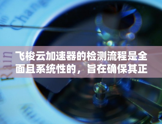 飞梭云加速器的检测流程是全面且系统性的，旨在确保其正常运行和性能。以下是详细的步骤说明