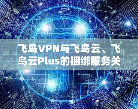 飞鸟VPN与飞鸟云、飞鸟云Plus的捆绑服务关系如下