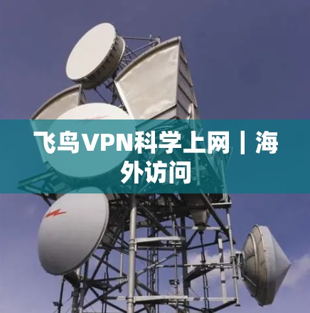 飞鸟VPN<strong>科学上网</strong>｜海外访问