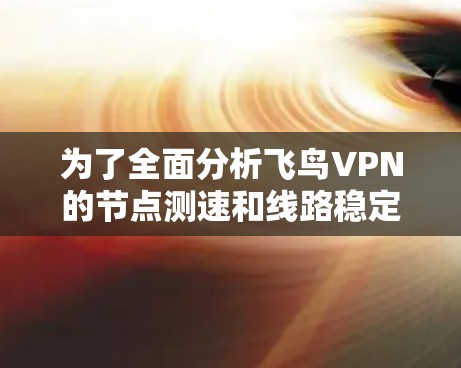 为了全面分析飞鸟VPN的节点测速和线路稳定性，以下是分步总结
