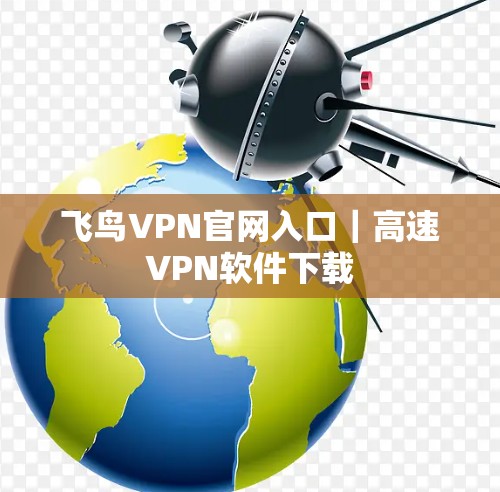 飞鸟VPN官网入口｜高速VPN软件下载