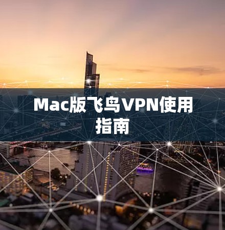 Mac版飞鸟VPN使用指南