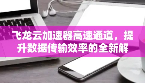 飞龙云加速器高速通道,提升数据传输效率的全新解决方案 飞龙云加速器高速通道,提升数据传输效率的全新解决方案