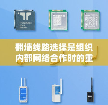 <strong>翻墙</strong>线路选择是组织内部网络合作时的重要环节，选择合适的<strong>翻墙</strong>设备可以显著提升网络的安全性和效率。以下是对<strong>翻墙</strong>线路选择的详细指南