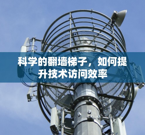 科学的翻墙<strong>梯子</strong>，如何提升技术访问效率