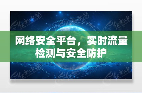 网络安全平台，实时流量检测与安全防护