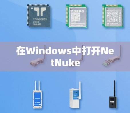 在Windows中打开NetNuke