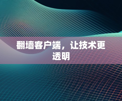<strong>翻墙</strong>客户端，让技术更透明