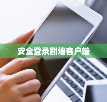 安全登录<strong>翻墙</strong>客户端