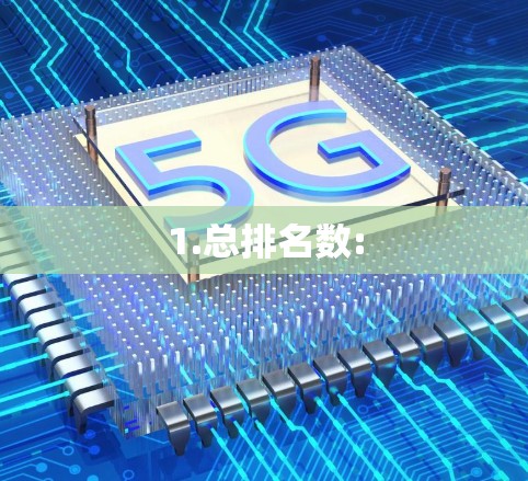 1.总排名数: