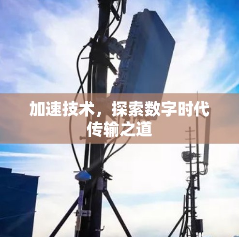 加速技术，探索数字时代传输之道