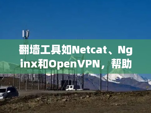 <strong>翻墙</strong>工具如Netcat、Nginx和OpenVPN，帮助用户绕过网络防火墙，访问外部服务器或共享空间。以下是对<strong>翻墙</strong>工具的详细指南