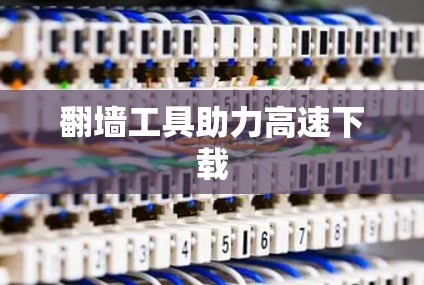 <strong>翻墙</strong>工具助力高速下载