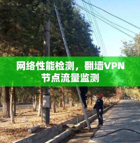 网络性能检测，<strong>翻墙</strong>VPN节点流量监测