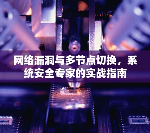 网络漏洞与多节点切换，系统安全专家的实战指南