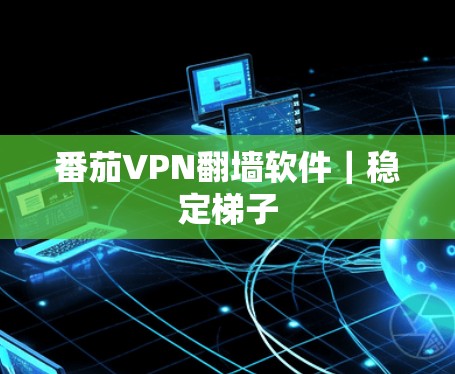 番茄VPN翻墙软件｜稳定<strong>梯子</strong>