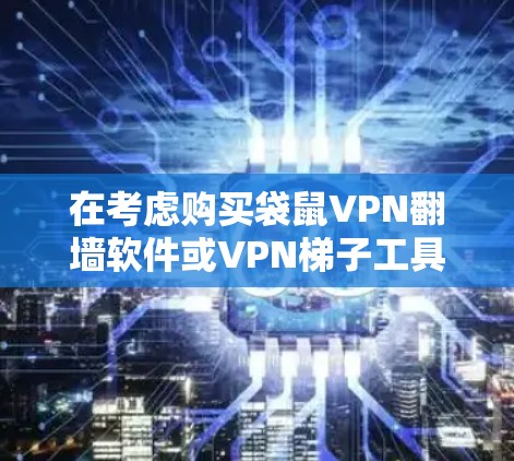 在考虑购买袋鼠VPN翻墙软件或VPN<strong>梯子</strong>工具时，以下是对两者的主要对比和建议