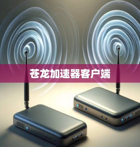 苍龙加速器客户端 苍龙加速器客户端