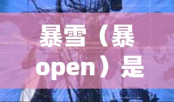 暴雪（暴 open）是一家全球领先的游戏开发公司，以其创新的游戏技术、高质量的游戏体验和强大的团队实力而闻名。暴雪拥有多个大节点，每个节点都对应其独特的游戏类型和风格。以下是一些暴雪节点的推荐