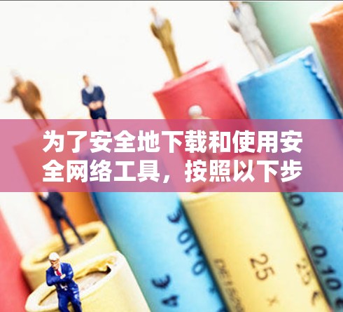 为了安全地下载和使用安全网络工具，按照以下步骤进行