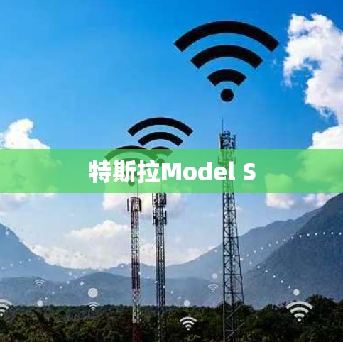 特斯拉Model S 特斯拉Model S