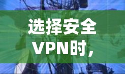 选择安全VPN时，需综合考虑多方面的因素，以确保数据安全和隐私保护。以下是详细的步骤建议