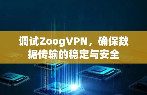 调试ZoogVPN，确保数据传输的稳定与安全