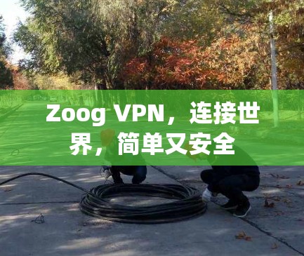 Zoog VPN，连接世界，简单又安全